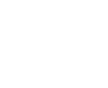 Limex Export Services